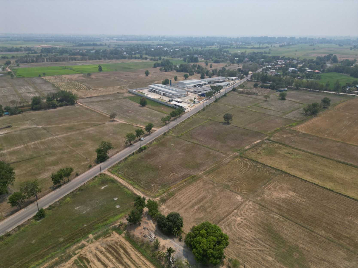 23 rai of land next to the main road, near Phitsanulok city. – รูปที่ 4