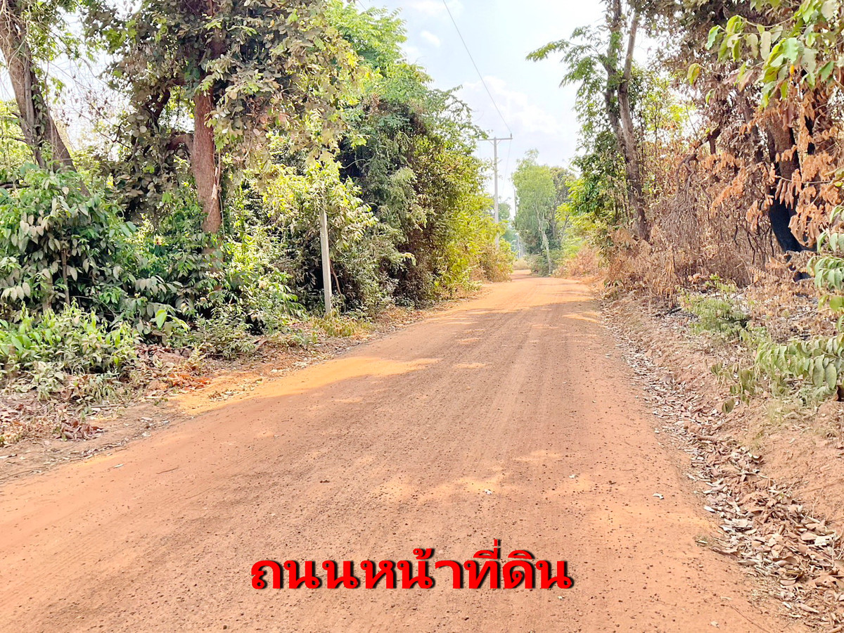 ขายที่ดิน อำเภอเหล่าเสือโก้ก อุบลราชธานี อยูใกล้ บิ๊กแบง แกลอรี คาเฟ่ – รูปที่ 2