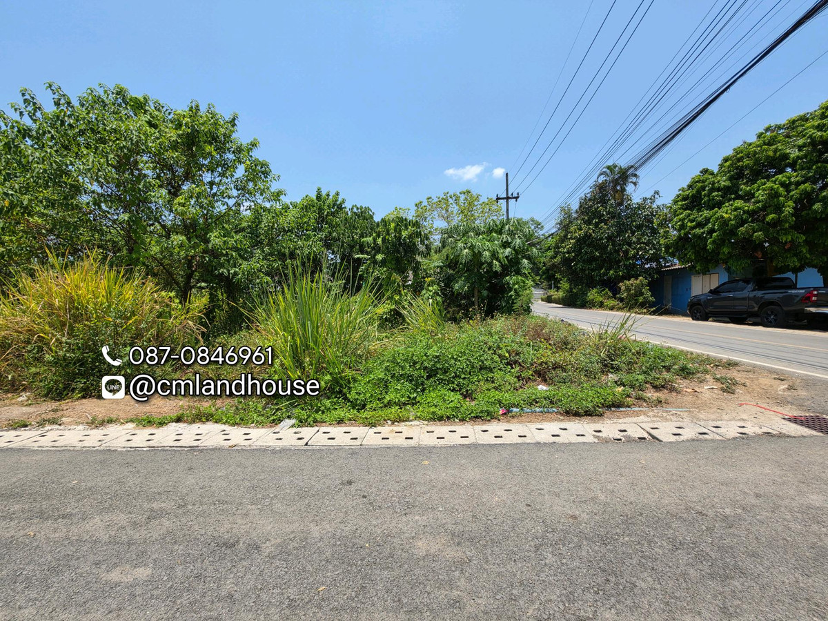 ที่ดินติดถนนสัญจร 203 ตรว. แปลงมุมติดถนน 2 ด้าน ค้าขาย ทำธุรกิจได้
ใกล้ถนนวงแหวน 800ม. ซุปเปอร์ไฮเวย์ 1กม. ใกล้เทศบาลไชยสถาน อ.สารภี ใกล้ไทวัสดุ – รูปที่ 3