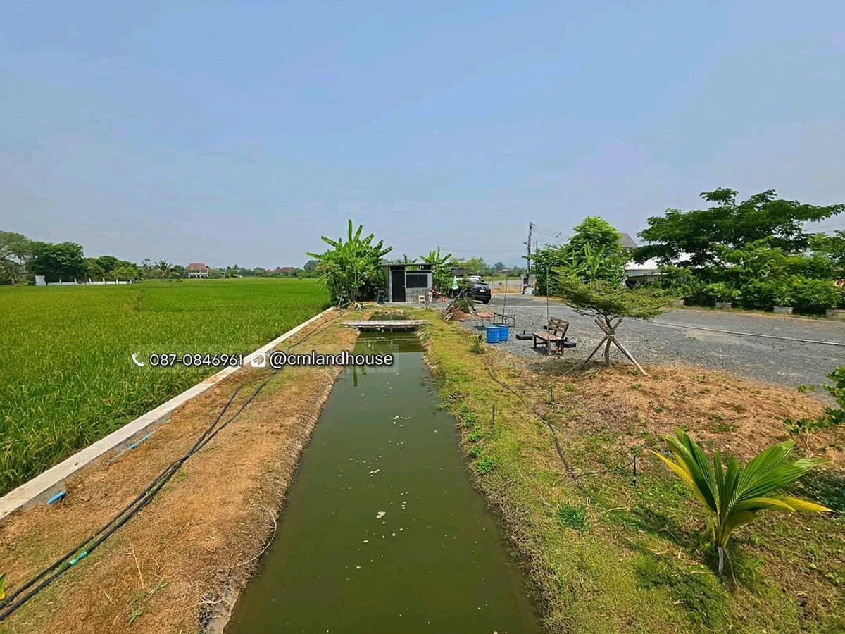 บ้านสวนริมน้ำ 1 ไร่ บ้านใหม่ พร้อมโรงเรือน โรงจอดรถ บาร์น้ำ ที่ดินมีรูปแปลงสวย (รูปถุงทอง, รูปเพชร) เส้นทางตรงไปเซ็นทรัลเฟสติวัล 15 กม. ใกล้ รพ.ดอยสะเก็ด 2 กม. – รูปที่ 4