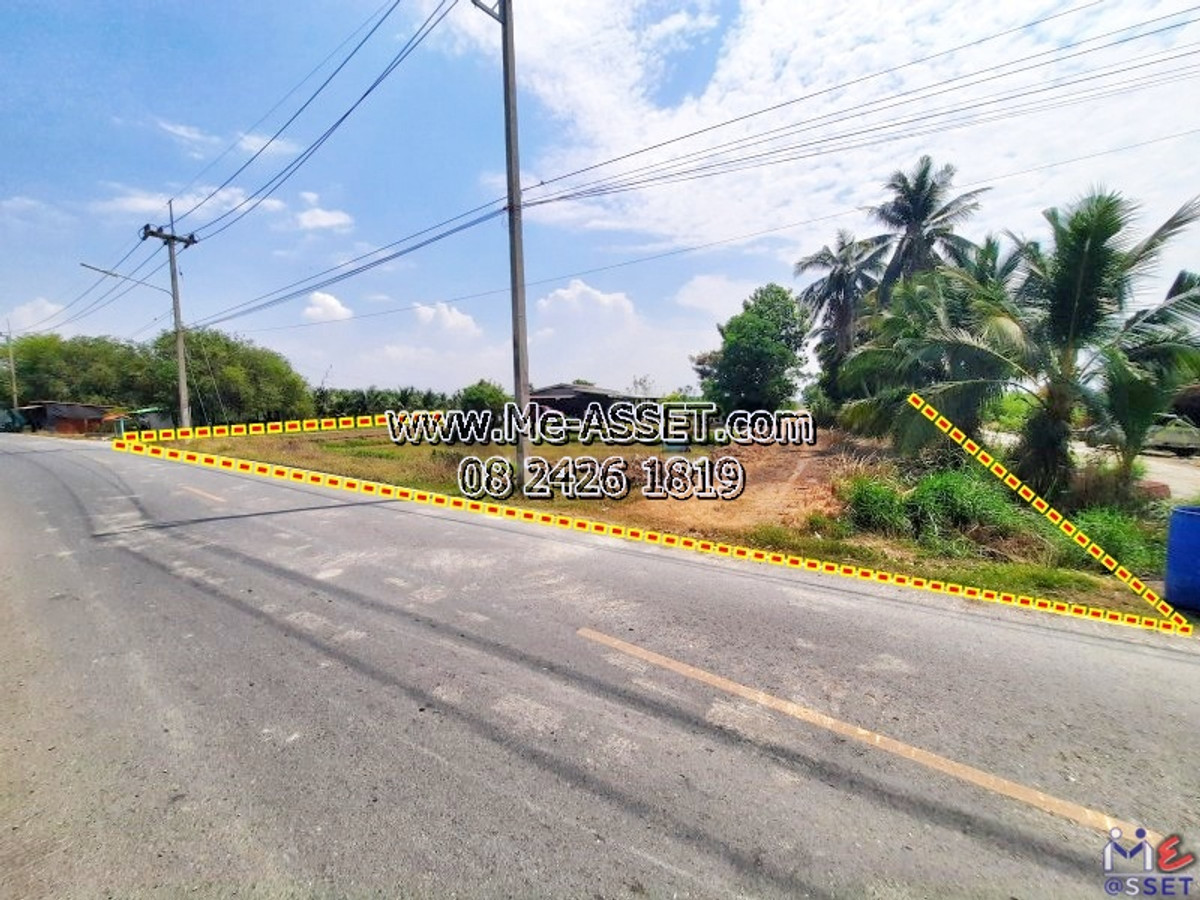 🌳 20-Rai Prime Agricultural Land 📍 Lan Tak Fa, Nakhon Pathom. 3-sided road access, canal-side, near M81 Motorway (Dao Thong) & Orange Coffee. Perfect for investment (NN-91426) – รูปที่ 4