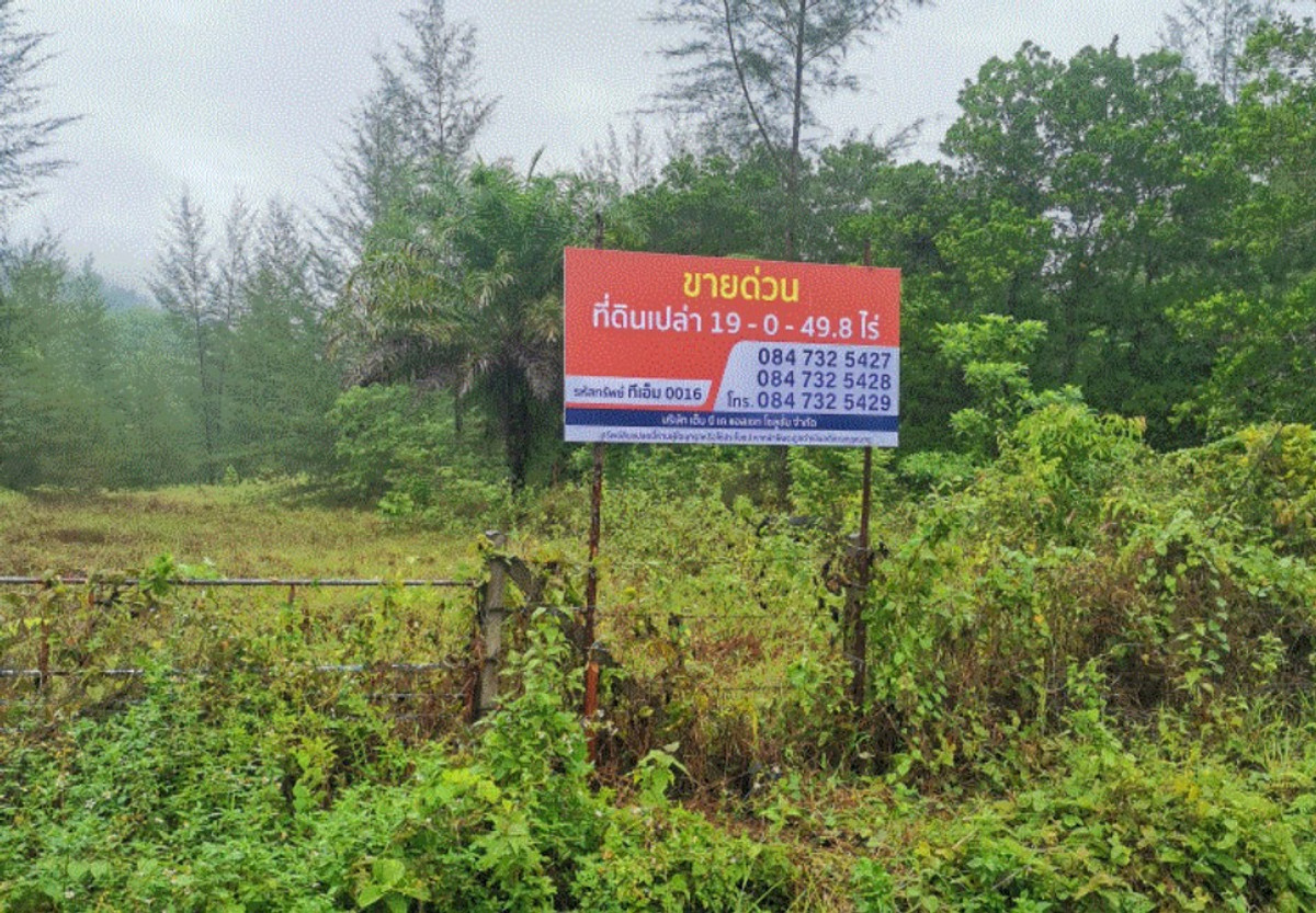 Empty land for sale, Takua Pa District, Phang Nga Province.