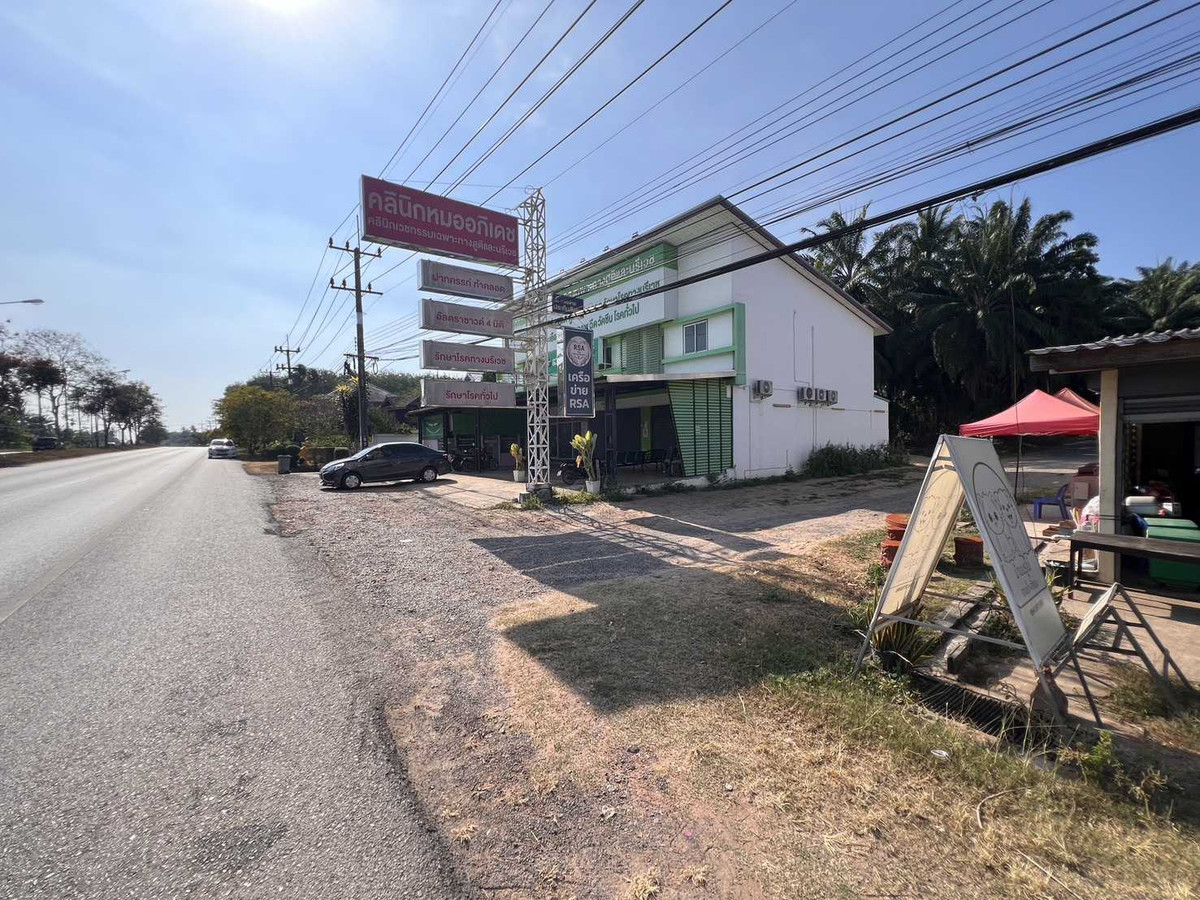 Palm Orchard Land for Sale Main Highway Location Surat Thani – รูปที่ 2
