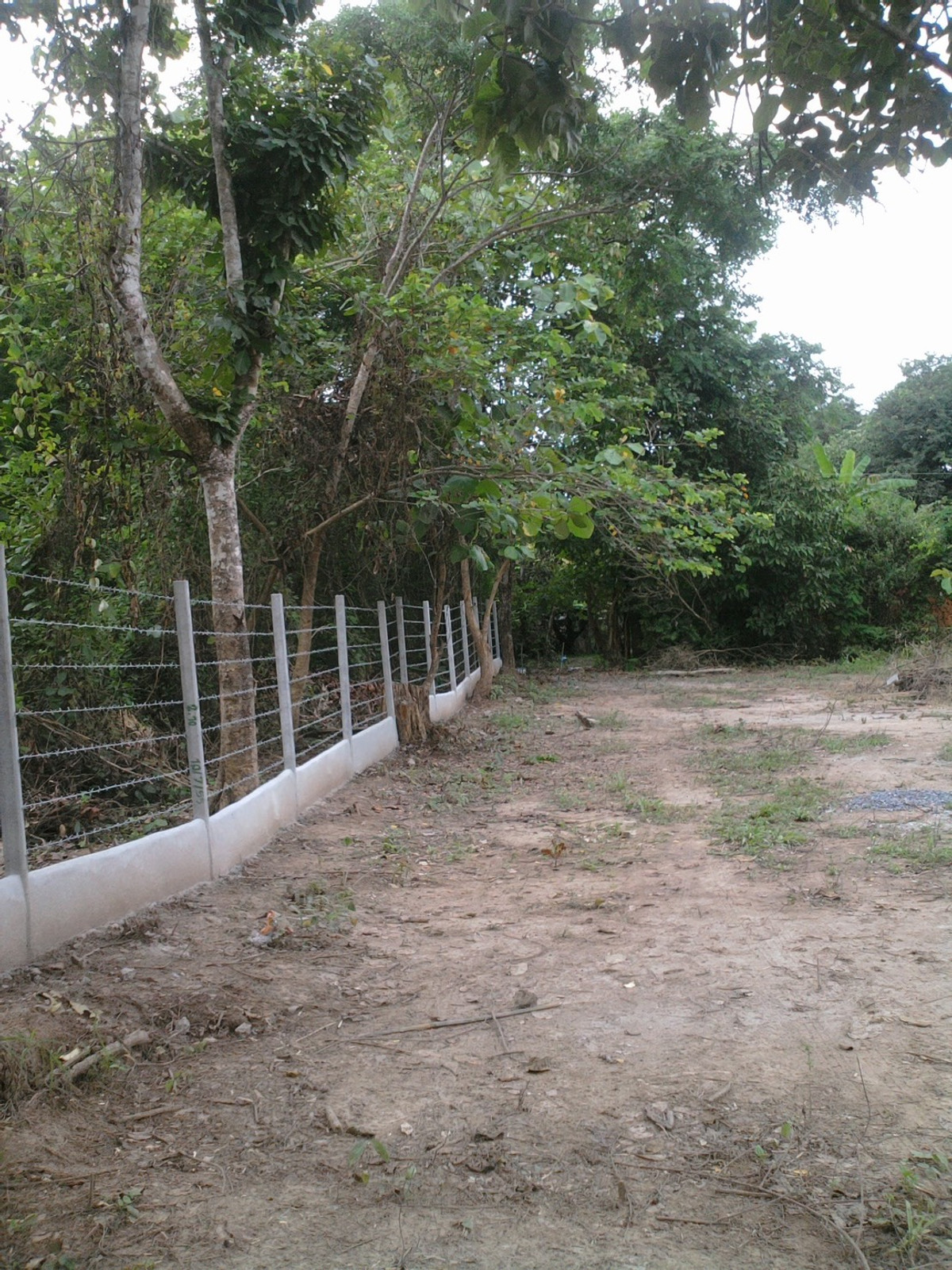 *For sale* Land next to a stream - stream, natural view, Mae Ram Subdistrict, Mae Rim District, Chiang Mai, suitable for a resort. vacation home Natural views all around – รูปที่ 4