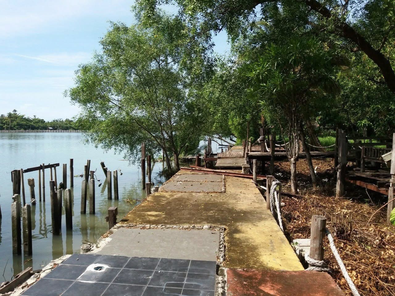 PZ1452–ขาย ที่ดิน ริมน้ำแม่กลอง 4-3-26.5 ตรว.  พร้อมที่งอกริมน้ำมากกว่า 2 ไร่เศษ ห่างจากถนน พระราม 2 เพียง 5 กม. ตำบลท้ายหาด  อำเภอเมือง จังหวัดสมุทรสงคราม  – รูปที่ 3