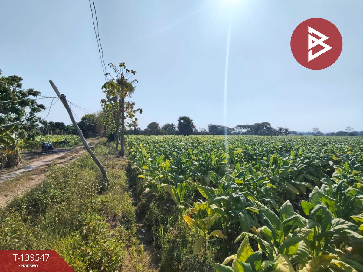 Land for sale, area 2 rai 95.6 sq m, San Kamphaeng, Chiang Mai. – รูปที่ 3