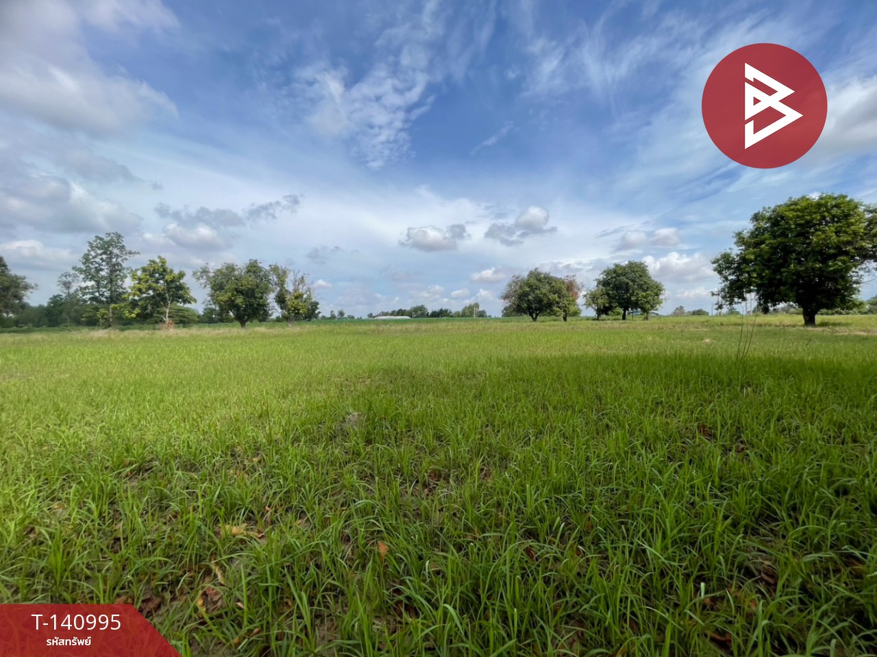 Land for sale, area 11 rai 59 square wa, Ban Nong Waeng Rai, Ban Phai District, Khon Kaen Province, good location. – รูปที่ 4