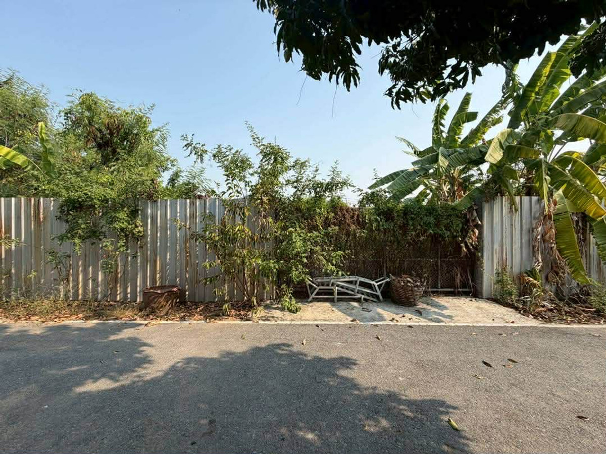 Empty land for sale, already fenced and filled. In Soi Wat Lat Pla Duk, Nonthaburi – รูปที่ 3