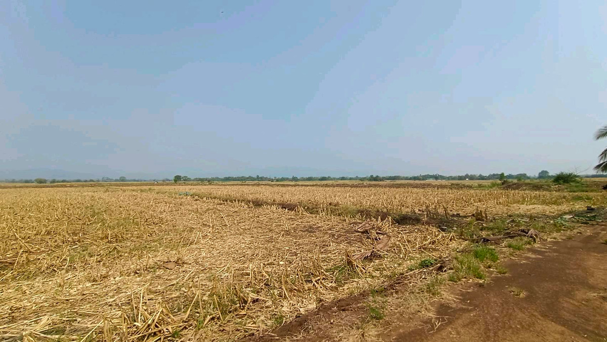 Land for sale – รูปที่ 4