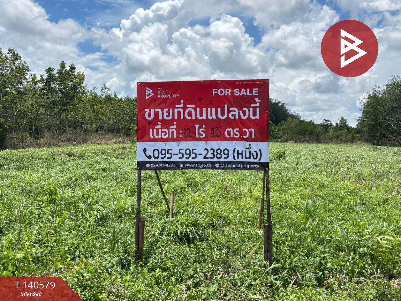 ขายที่ดินสวนยาง เนื้อที่ 12 ไร่ 43 ตารางวา วังจันทร์ ระยอง ขายที่ดินสวนยาง เนื้อที่ 12 ไร่ 43 ตารางวา วังจันทร์ ระยอง