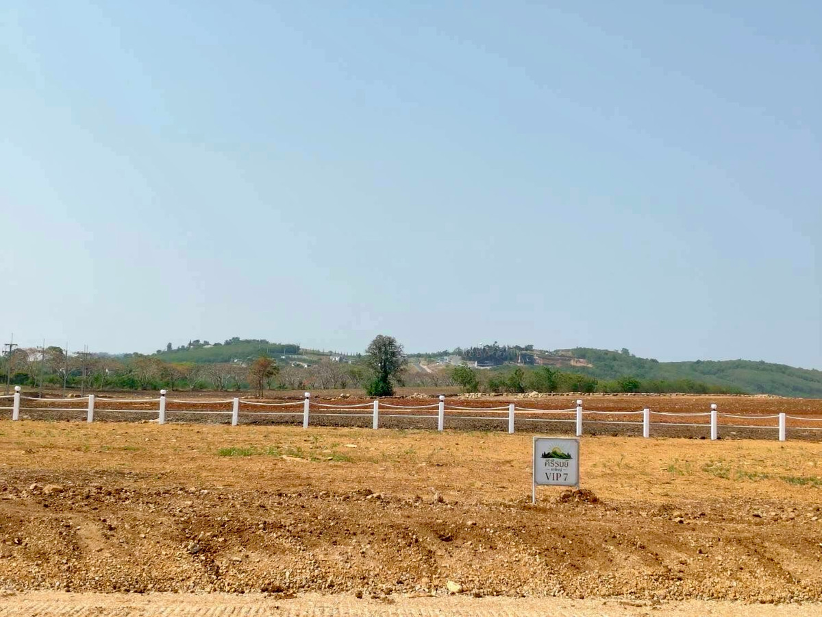 Land for sale, Khao Yai, Pak Chong, Nakhon Ratchasima (8 plots) – รูปที่ 4