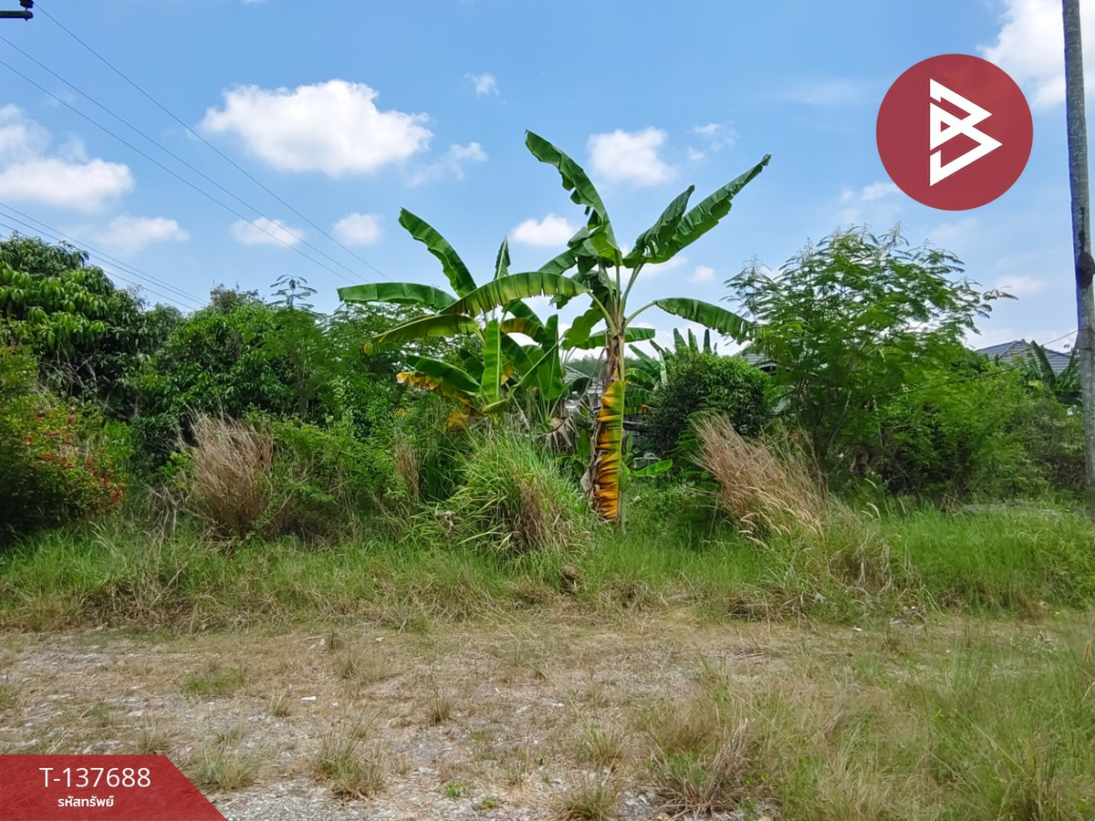 Land for sale, area 80 sq m, Ban Khai, Rayong. – รูปที่ 2
