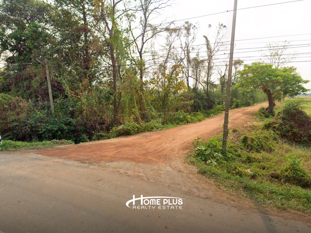 ที่ดินตำบลวัดตายม 23 ไร่ ใกล้ถนนหมายเลข 11 อำเภอบางกระทุ่ม จังหวัดพิษณุโลก – รูปที่ 4
