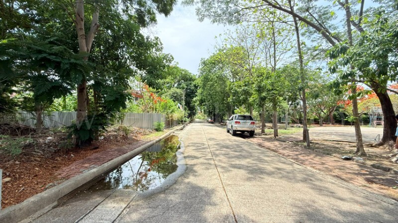 ที่ดินถมแล้ว หมู่บ้าน ชัยพฤกษ์ วงแหวน - รัตนาธิเบศร์ ซอยวัดลาดปลาดุก ราคาถูก – รูปที่ 2