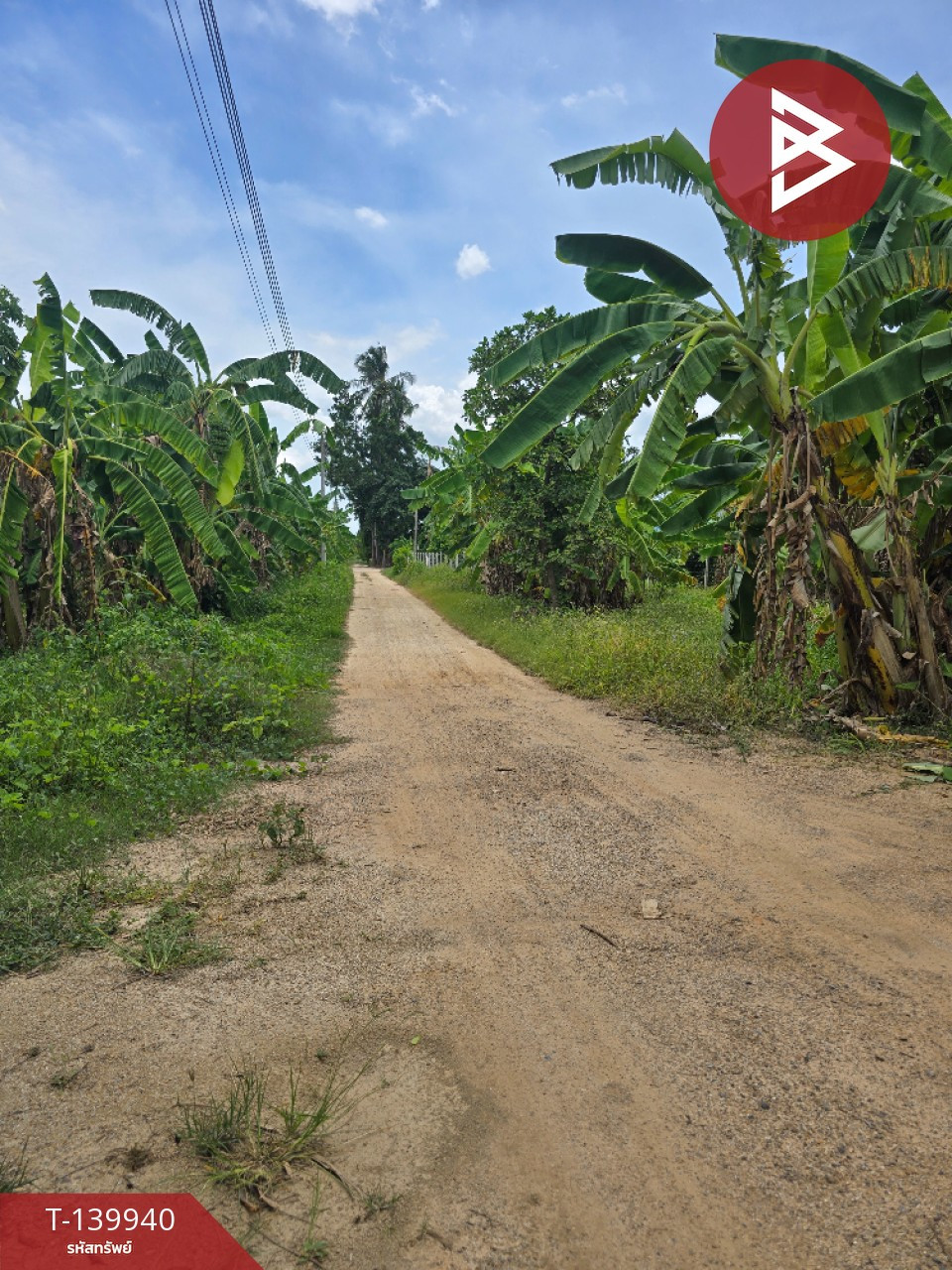 ขายที่ดิน เนื้อที่ 12 ไร่ 20 ตร.วา ท่ายาง เพชรบุรี – รูปที่ 2