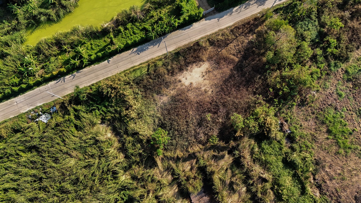 🔥 Beautiful plot of land for sale, Khlong Luang 25, 1 rai, already filled in, ready to build. – รูปที่ 3
