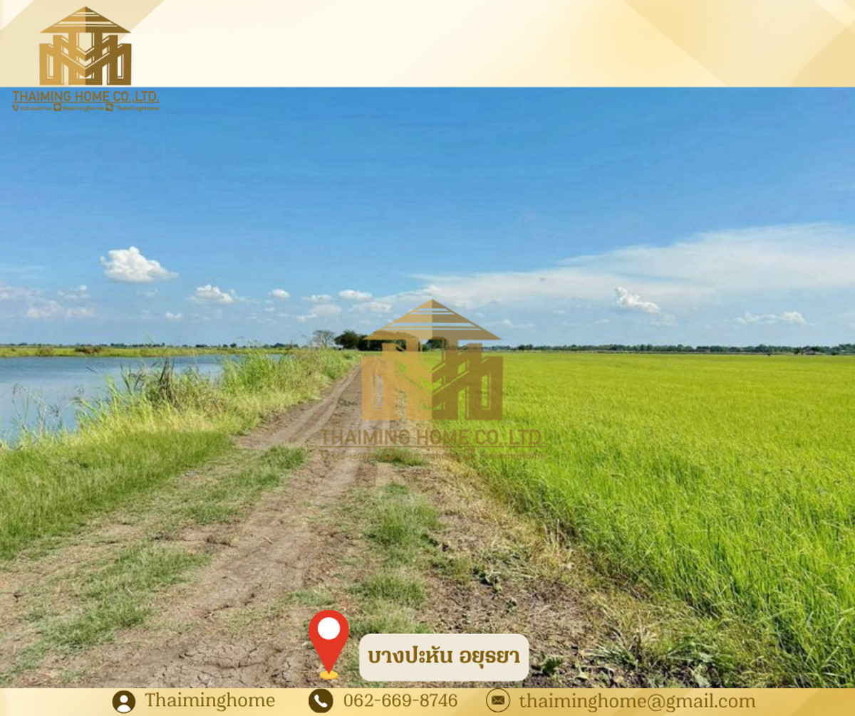 ขาย ที่นา 20 ไร่ 22 ตรว.ครุฑแดง บางปะหัน พระนครอยุธยา (TL07-0226) ขาย ที่นา 20 ไร่ 22 ตรว.ครุฑแดง บางปะหัน พระนครอยุธยา (TL07-0226)