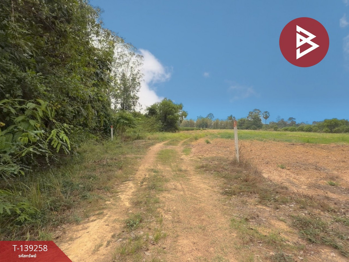 Land for sale, area 20 rai 1 ngan 31 sq m, Si Maha Phot, Prachinburi. – รูปที่ 3