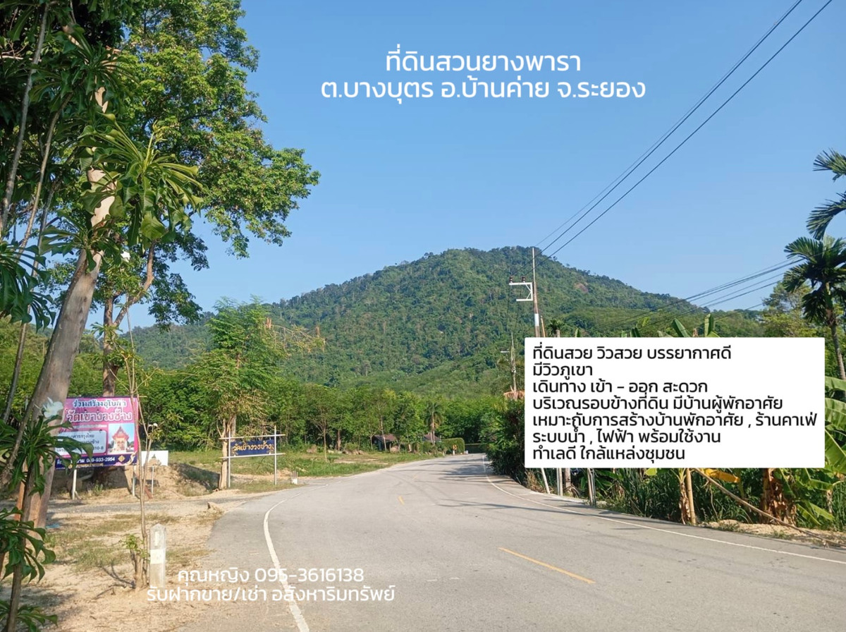 ขายที่ดิน สวนยางพารา  📍ต.บางบุตร อ.บ้านค่าย จ.ระยอง https://maps.app.goo.gl/zRhMsMuXzEkhvHAa8 ขนาดที่ดิน 9 ไร่ 3 งาน 65 ตารางวา หน้ากว้าง 91.55 x 213.10 เมตร – รูปที่ 2