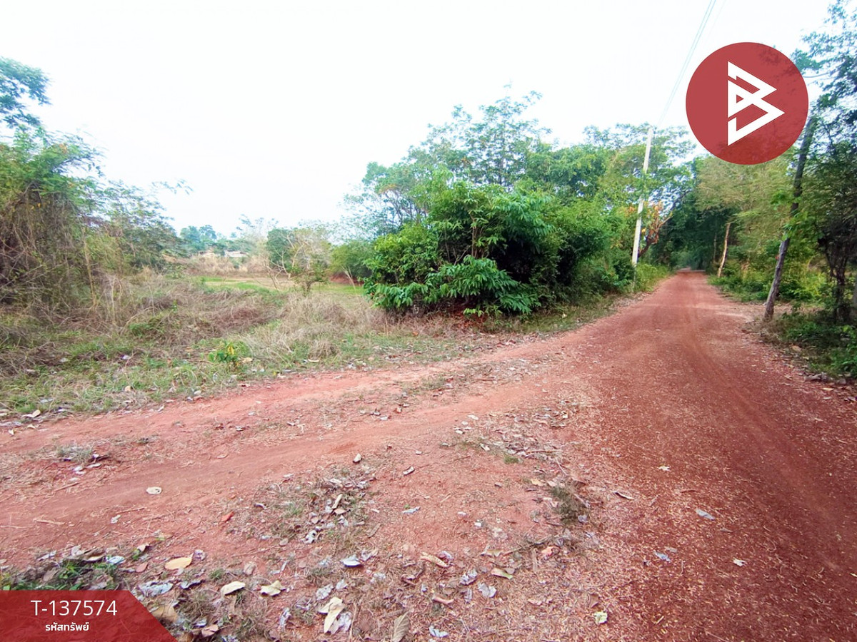 ขายที่ดิน เนื้อที่ 14 ไร่ 2 งาน 14 ตร.วา เชียงเครือ สกลนคร – รูปที่ 4