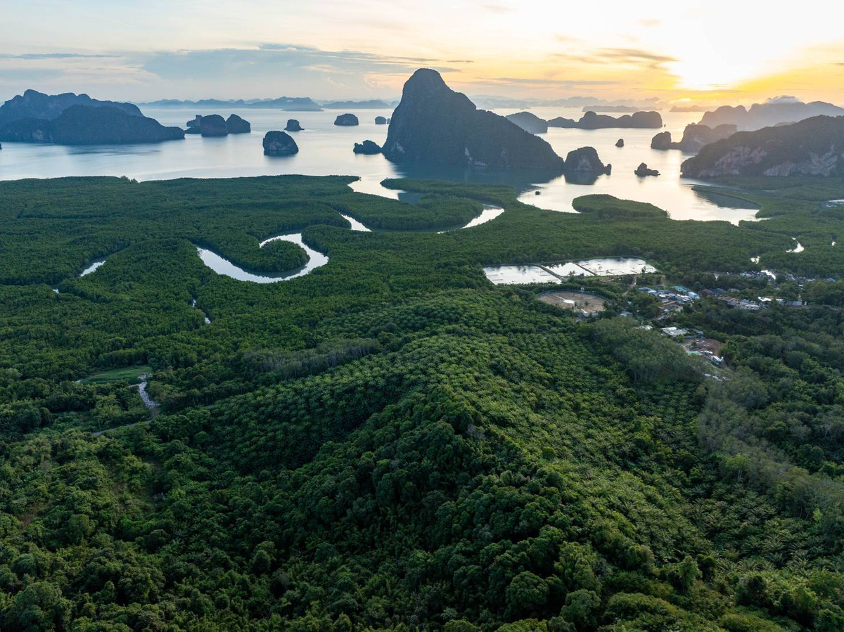 ที่ดินขนาดใหญ่แปลงสุดท้ายในทำเลที่ดีที่สุดของเสม็ดนางชี ซึ่งเป็นจุดชมวิวดวงอาทิตย์ขึ้นระดับโลก – รูปที่ 3