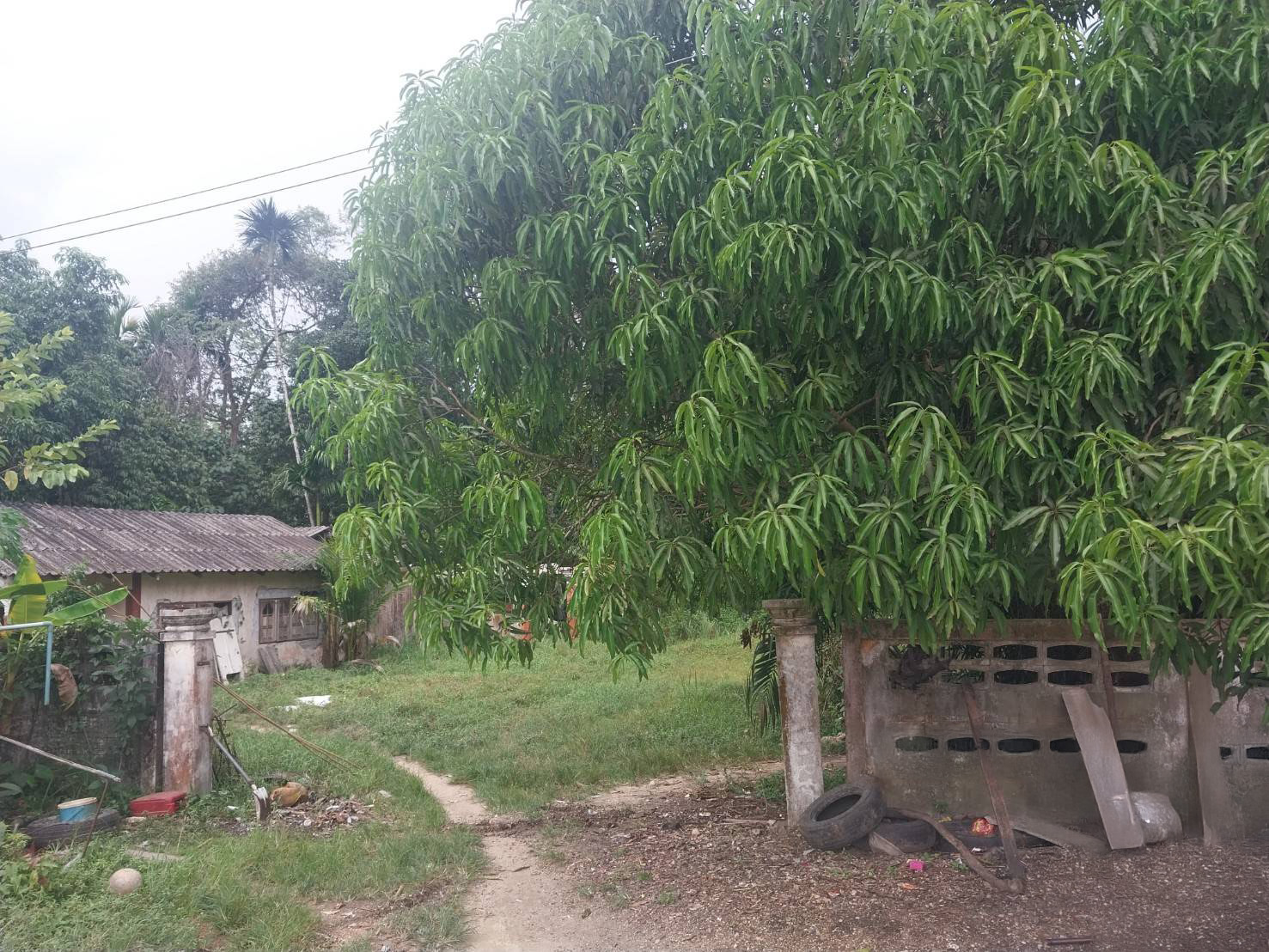 JK 3633607 : นอกโครงการนราธิวาส – รูปที่ 4