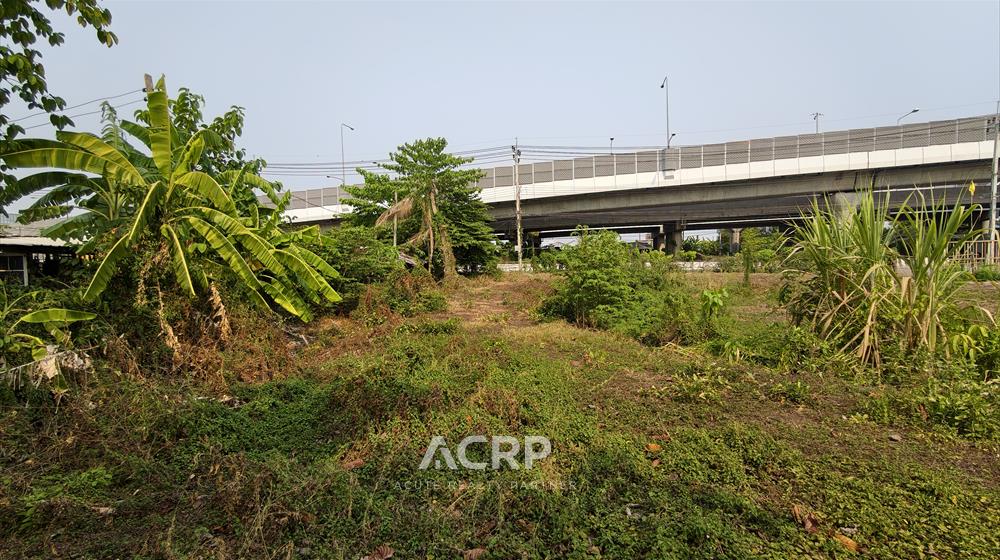ขายที่ดินทำเลทองริมถนนราชพฤกษ์(ฝั่งขาออก)ตรงข้าม Robinsonราชพฤกษ์ไพรม์โลเคชั่นสำหรับธุรกิจศักยภาพสูง – รูปที่ 2
