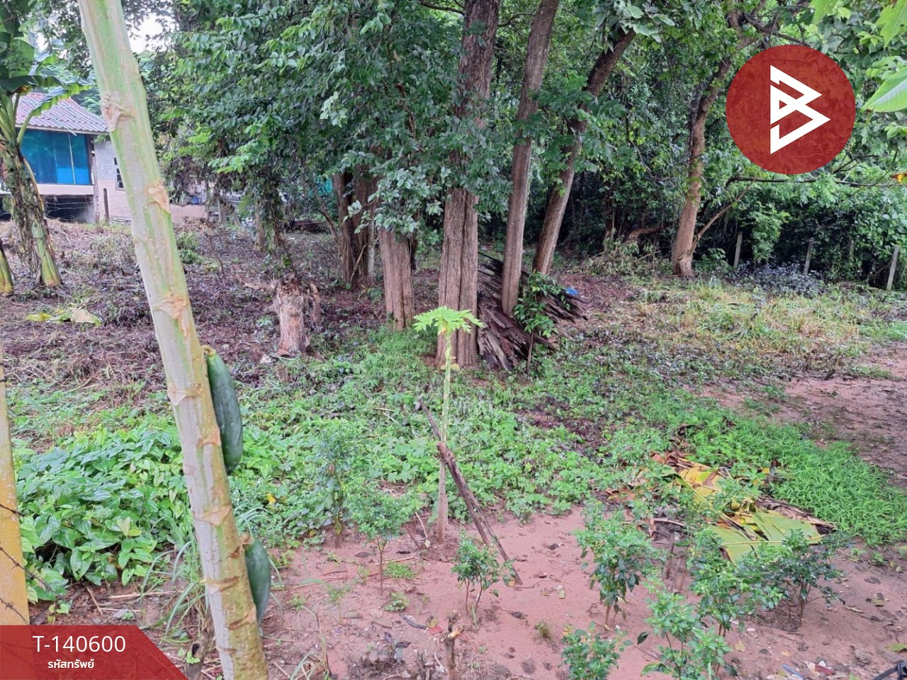 Land for sale, area 1 ngan 96 sq m, Ban Chan, Udon Thani. – รูปที่ 3