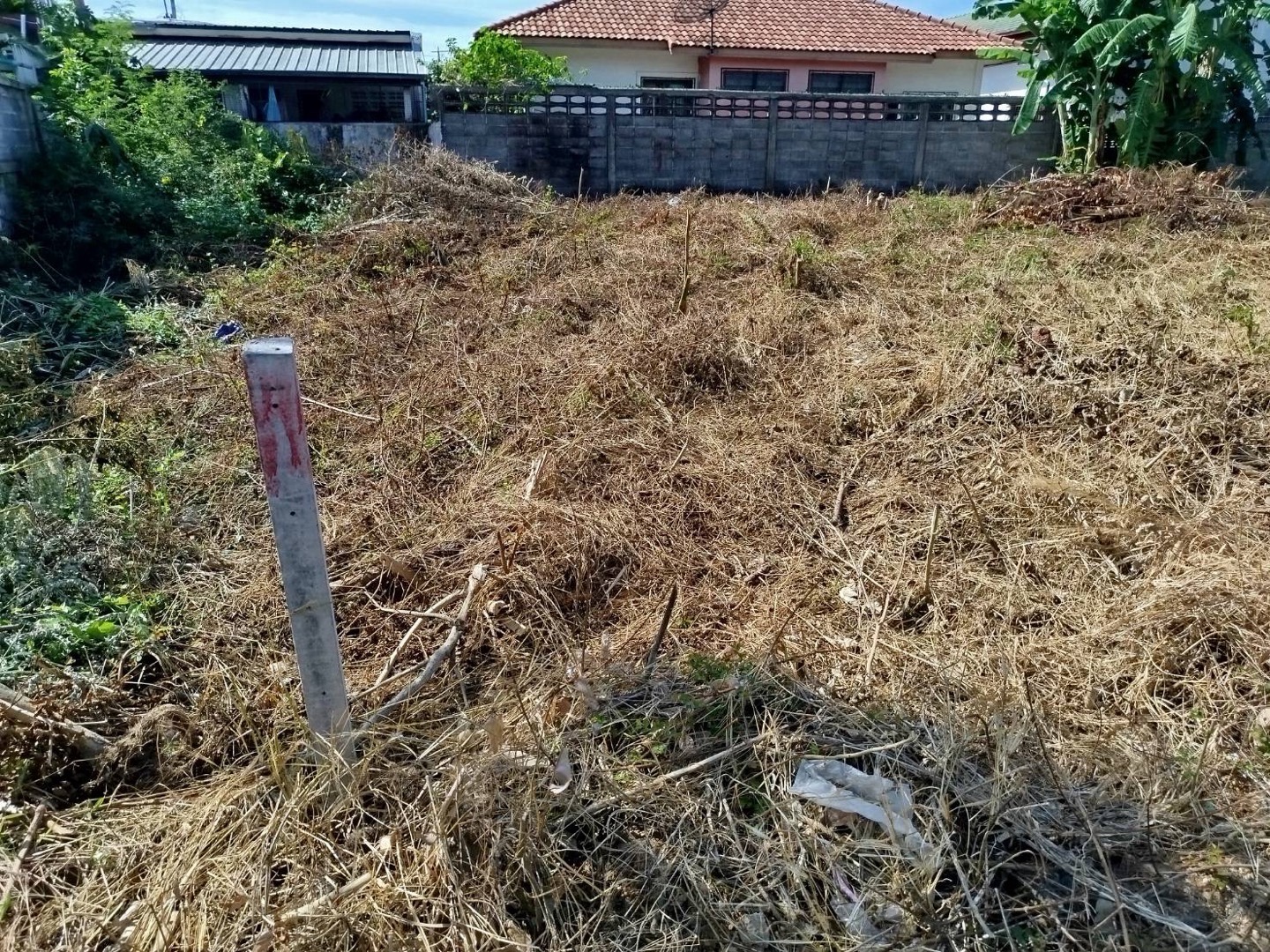 Land for sale, good location, Mueang Chaiyaphum – รูปที่ 4