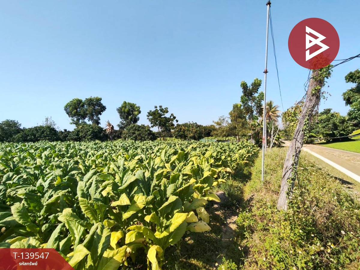 Land for sale, area 2 rai 95.6 sq m, San Kamphaeng, Chiang Mai. – รูปที่ 4