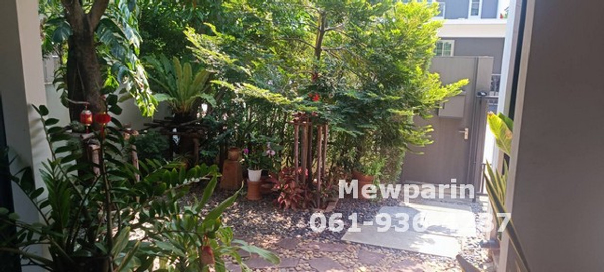 428950 ให้เช่าบ้าน มัณฑนา5อ่อนนุชวงแหวน ขนาด 50 ตร.วา สวนร่มรื่น – รูปที่ 3