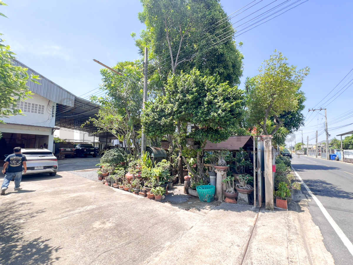 โกดังสินค้า โรงงานแปรรูปไม้ ซอยลำโพ 49 บางบัวทอง นนทบุรี – รูปที่ 2