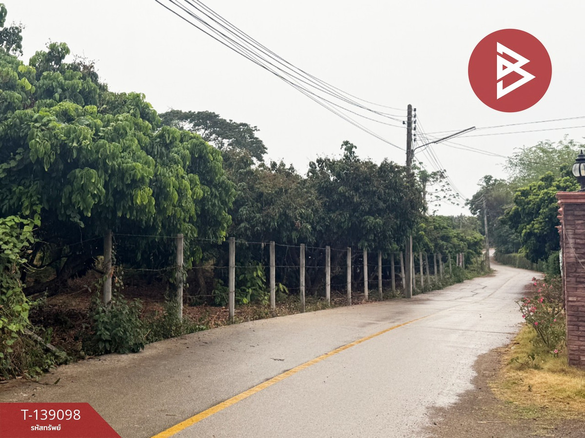 Longan orchard land for sale, area 1 rai 2 ngan 11 square wah, Wiang Nong Long, Lamphun, location next to the road. – รูปที่ 3