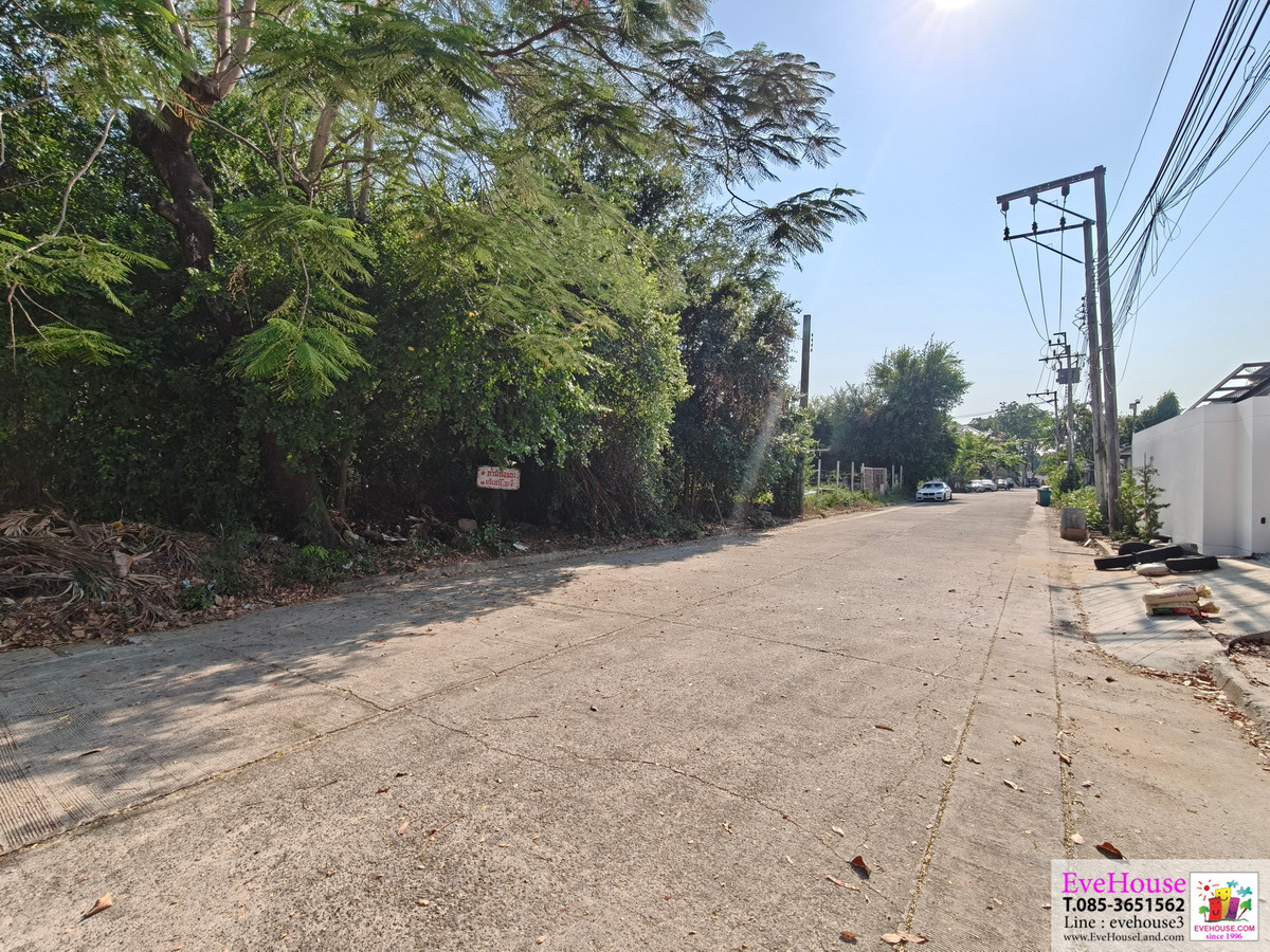 ขายที่ดินเปล่า หมู่บ้าน บ้านและสวน ลากูน ถ.พรานนก - พุทธมณฑล สาย 4 ใกล้ เดอะพาซิโอ พาร์ค กาญจนาภิเษก 150 ตร.วา 9 ล้านบาท ( 60,000/ตร.วา ) – รูปที่ 2