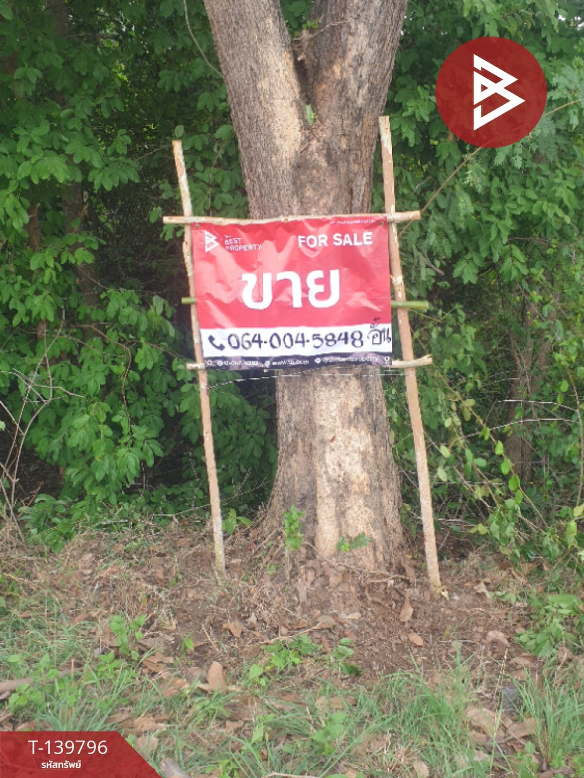 ขายที่ดิน เนื้อที่ 10 ไร่ 1 งาน 57 ตร.วา คำเตย นครพนม – รูปที่ 3