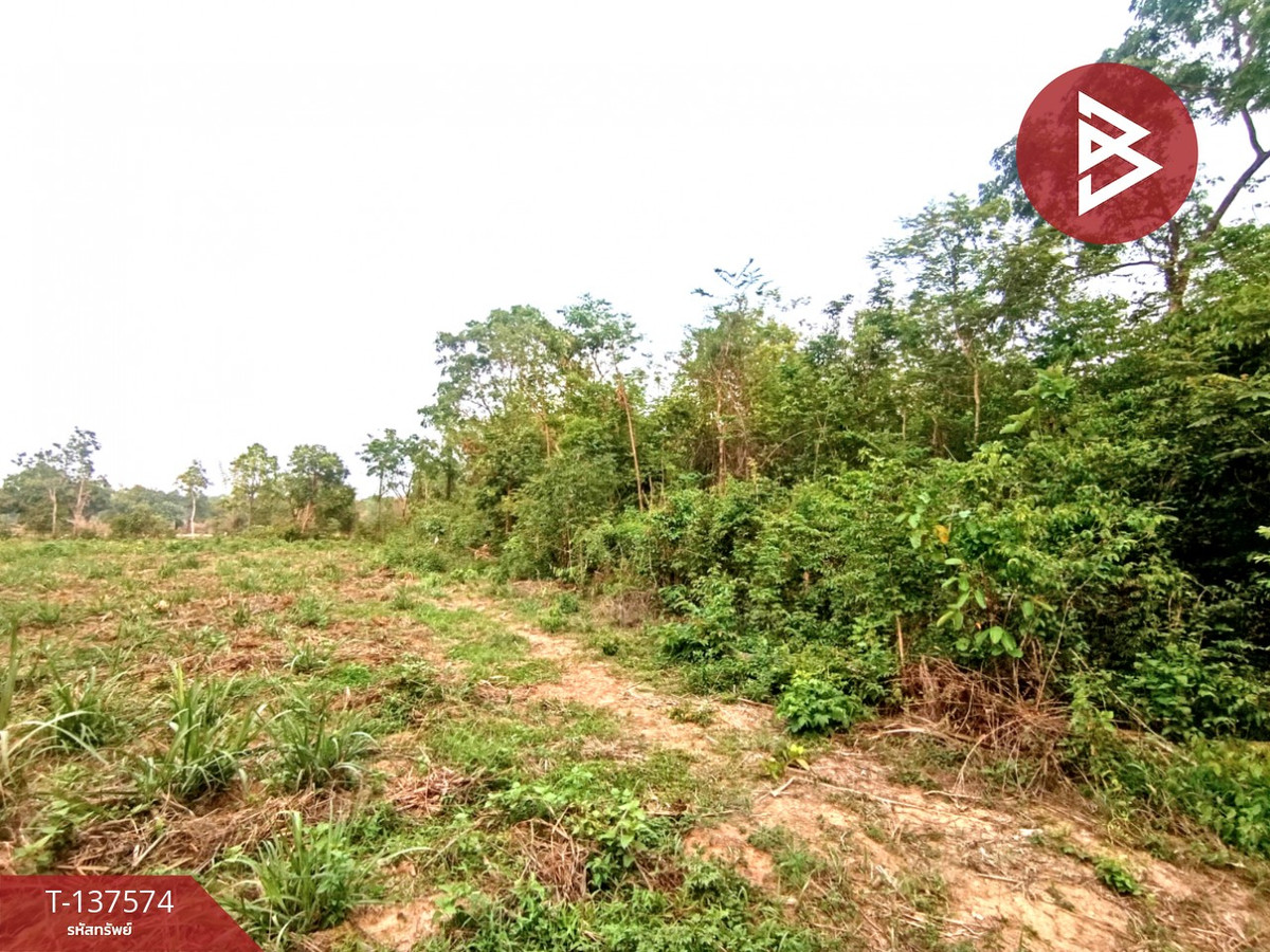 Land for sale, area 14 rai 2 ngan 14 sq m, Chiang Khruea, Sakon Nakhon Land for sale, area 14 rai 2 ngan 14 sq m, Chiang Khruea, Sakon Nakhon