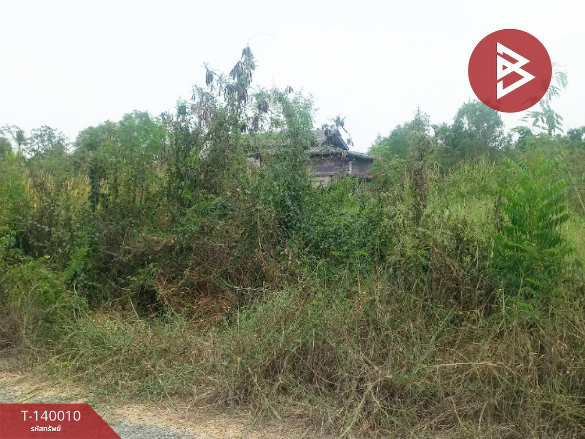 Beautiful land for sale, area 120 square meters, Ongkharak, Nakhon Nayok, next to the main road. Beautiful land for sale, area 120 square meters, Ongkharak, Nakhon Nayok, next to the main road.