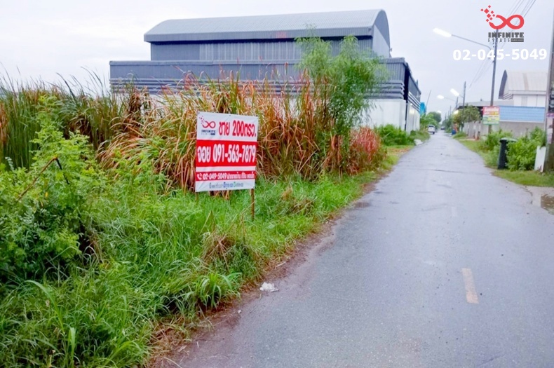 ขายที่ดินเปล่า 200 ตรว. ซอยบงกช 12 คลองหลวง ปทุมธานี ใกล้ธรรมศาสตร์ รังสิต – รูปที่ 3