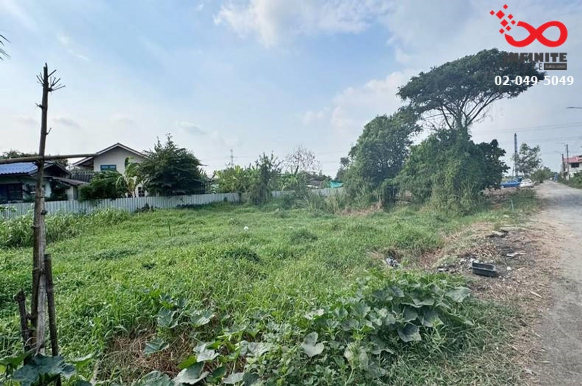ขายที่ดิน 366 ตรว. ถนนลำไทร หนองจอก ติดถนน 2 ด้าน ปลดล็อคทุกไลฟ์สไตล์ บนที่ดินผืนสวย – รูปที่ 4