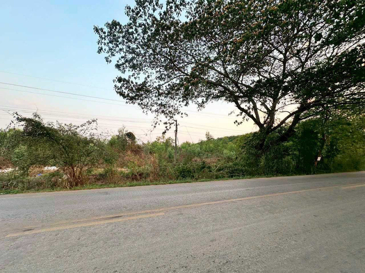 Large plot of land for sale Near Udon Thani city, 33 rai 3 ngan – รูปที่ 2