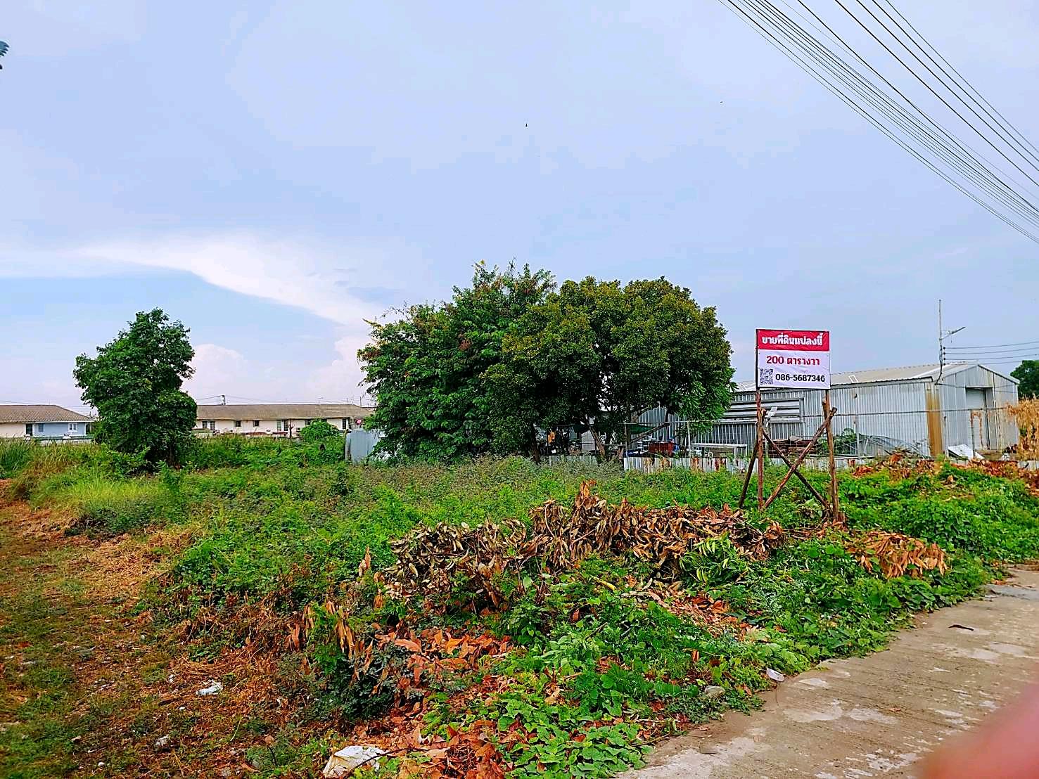 ขายที่ดินเปล่า 200 ตร.ว. เลียบคลอง 3 ลำลูกกา โฉนดพร้อมโอน – รูปที่ 2