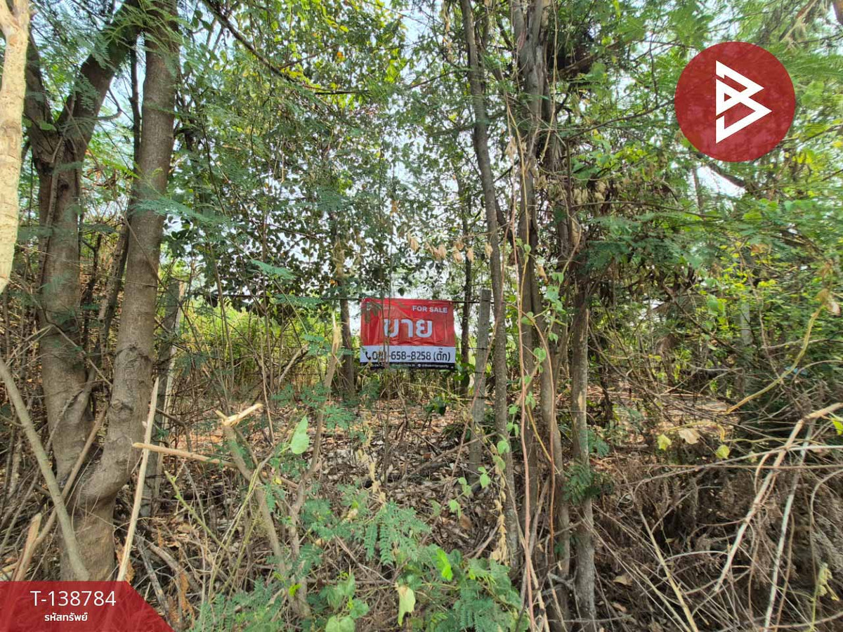 Land for sale, area 2 ngan 90 sq m, Phutthamonthon, Nakhon Pathom Land for sale, area 2 ngan 90 sq m, Phutthamonthon, Nakhon Pathom