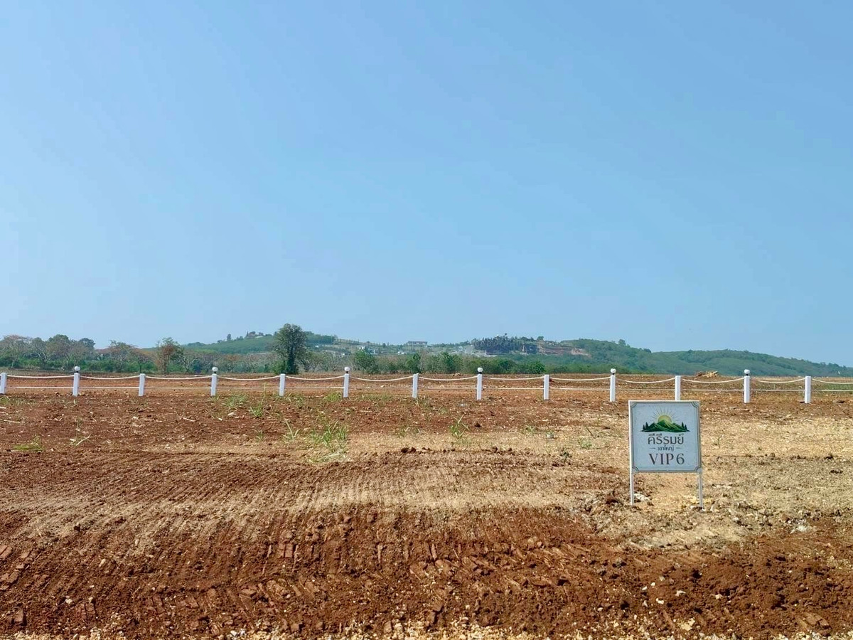 Land for sale, Khao Yai, Pak Chong, Nakhon Ratchasima (8 plots) – รูปที่ 3