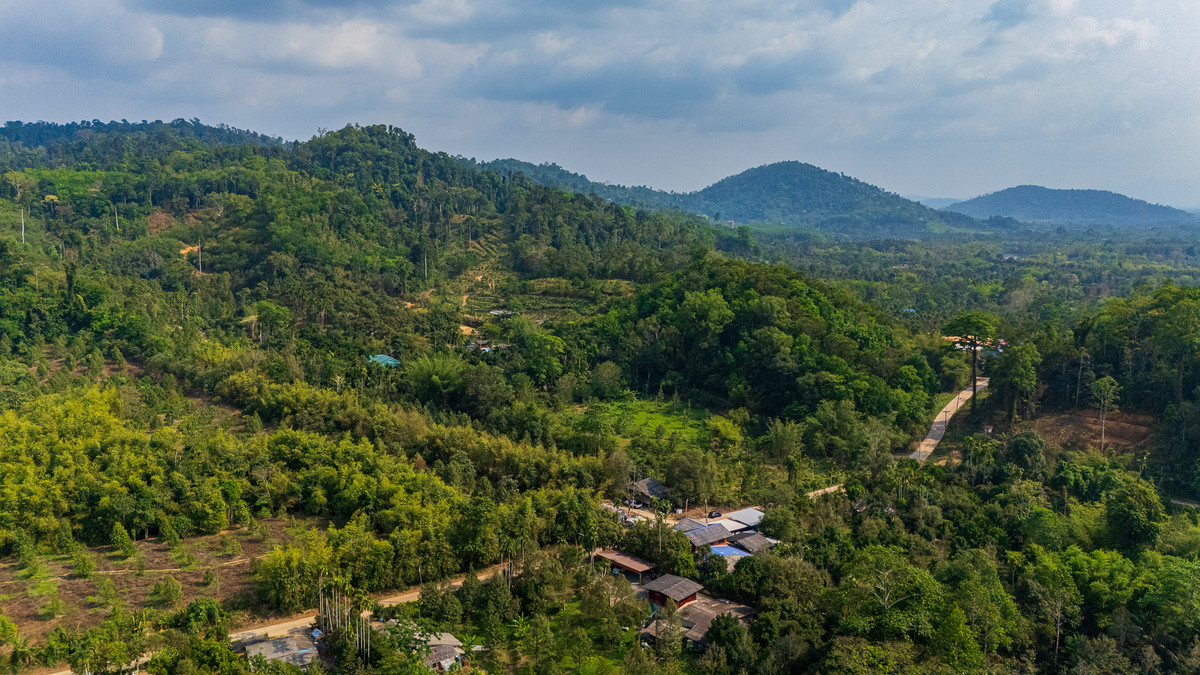 ขายที่ดินบนเขา อำเภอมะขาม จันทบุรี ท่ามกลางสวนทุเรียน บรรยากาศดี – รูปที่ 4