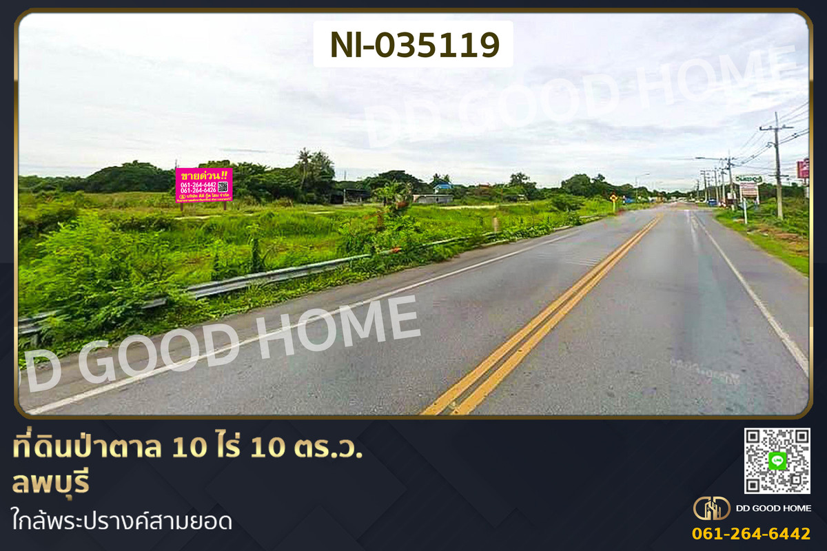ที่ดินป่าตาล 10 ไร่ 10 ตร.ว. ลพบุรี ใกล้พระปรางค์สามยอด NI-035119