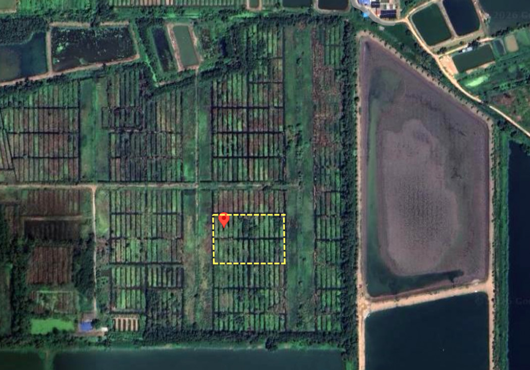 Vacant land for sale, totaling 4 rai, near Yuprachanukroh School, Nong Suea, Pathum Thani. Very cheap price. – รูปที่ 3