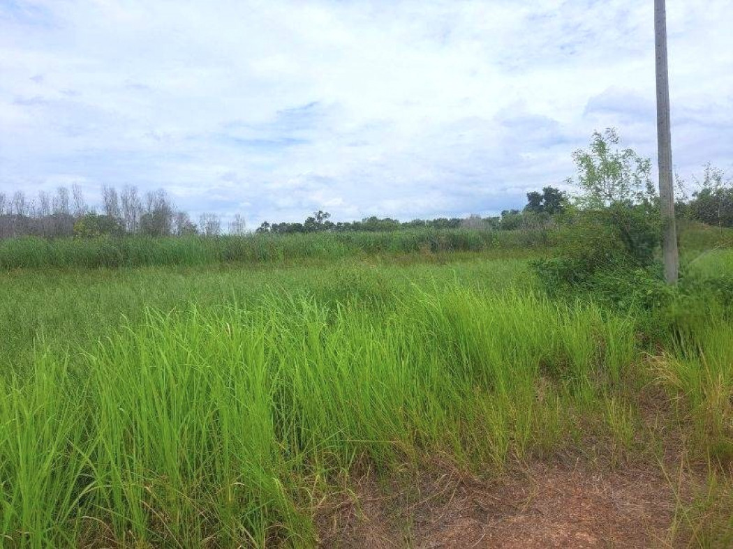 Vacant land for sale, totaling 4 rai, near Yuprachanukroh School, Nong Suea, Pathum Thani. Very cheap price. – รูปที่ 4