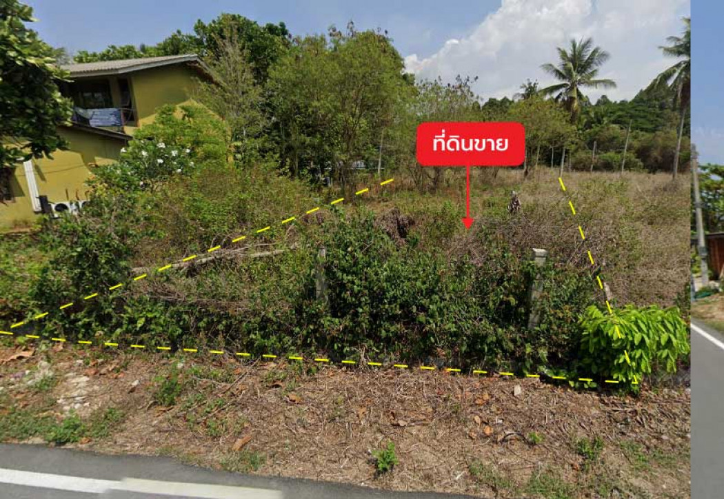 Land for sale 1 rai 0 ngan 60.2 sq.wah next to Soi Mai Khao 7 near Mai Khao Beach – รูปที่ 2