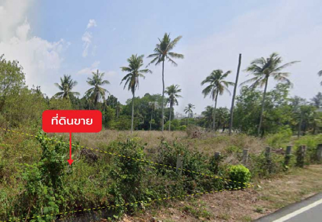 Land for sale 1 rai 0 ngan 60.2 sq.wah next to Soi Mai Khao 7 near Mai Khao Beach – รูปที่ 3