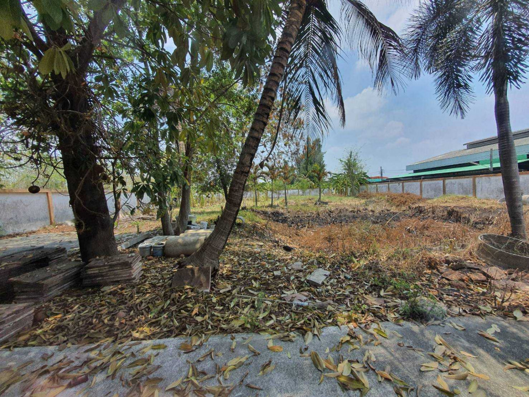 ขาย โรงงาน ผังเมือง สีเหลือง มีใบ รง.2 2400 ตรม 2 ไร่ 2 งาน 99 ตรว ใกล้ถนนกาญจนาภิเษกเพียง – รูปที่ 4